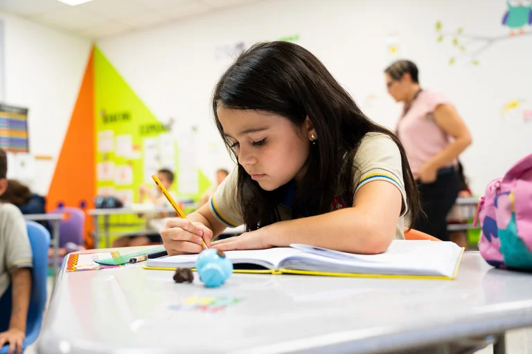 Excelencia académica