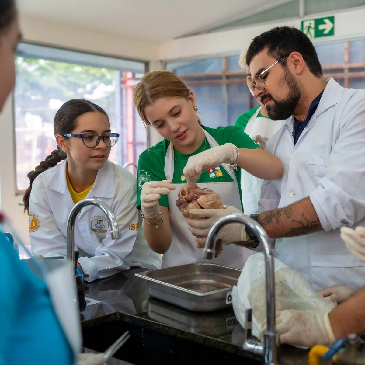 Funciones docentes