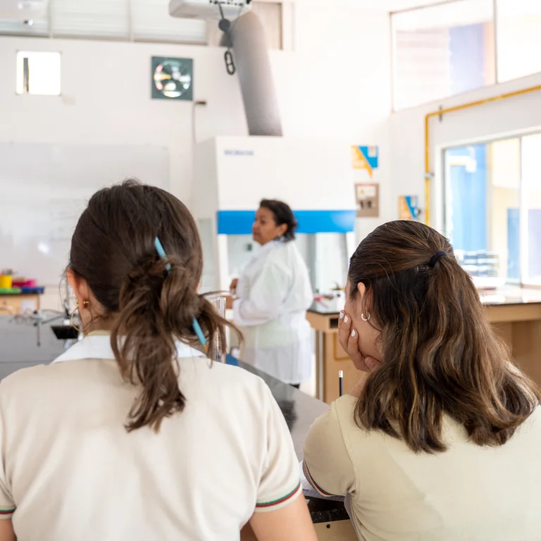 Excelencia académica