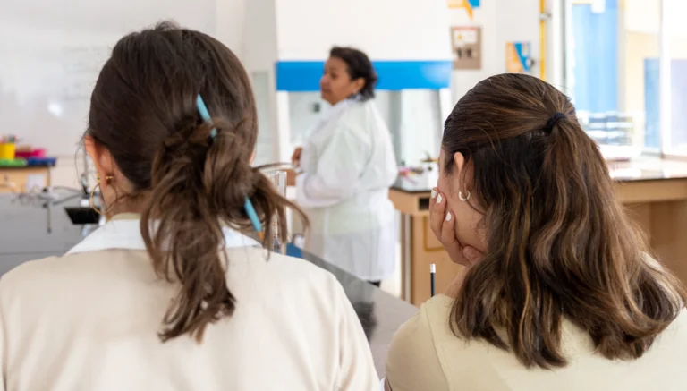 Excelencia académica